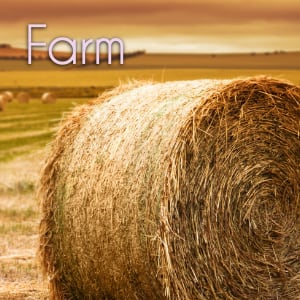 Farm Music for video