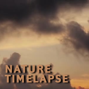 Nature Timelapse Music for video